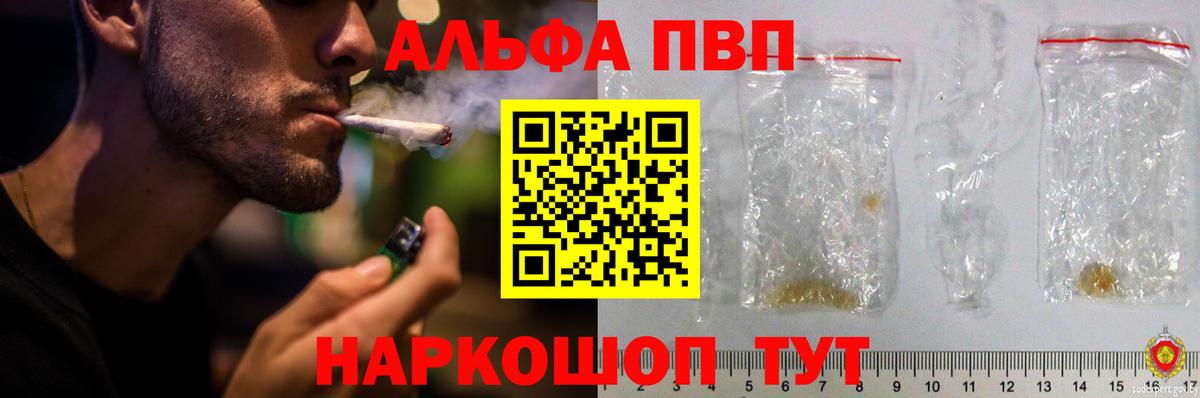 Элиста  дарнет шоп  Вход с VPN  Альфа ПВП СК КРИС  А ПВП СК КРИС 